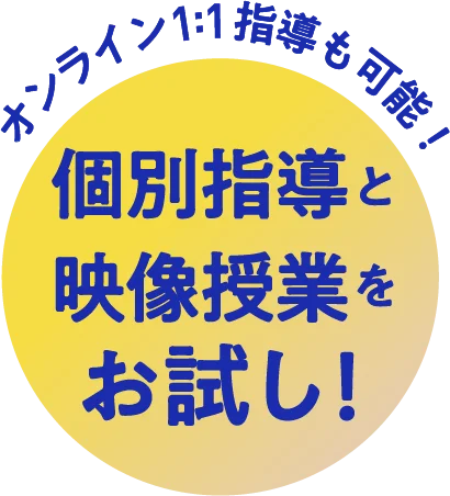 個別指導と映像授業をお試し！